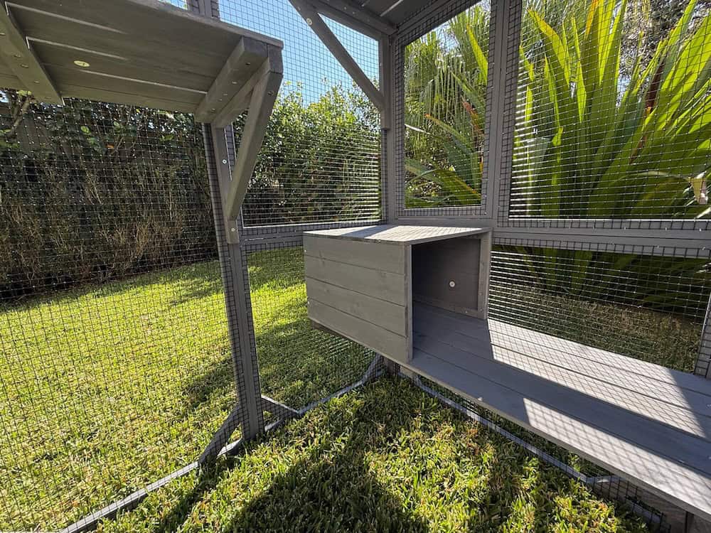 Condo Cat Enclosure - Sheltered box and shelves