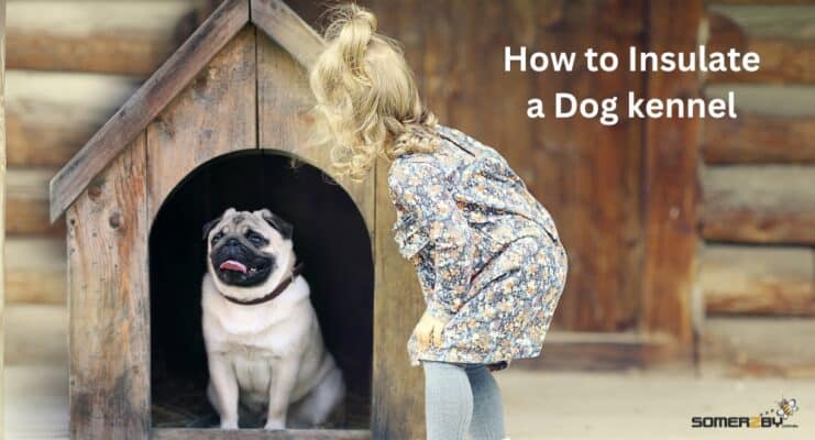 How to Insulate a Dog Kennel