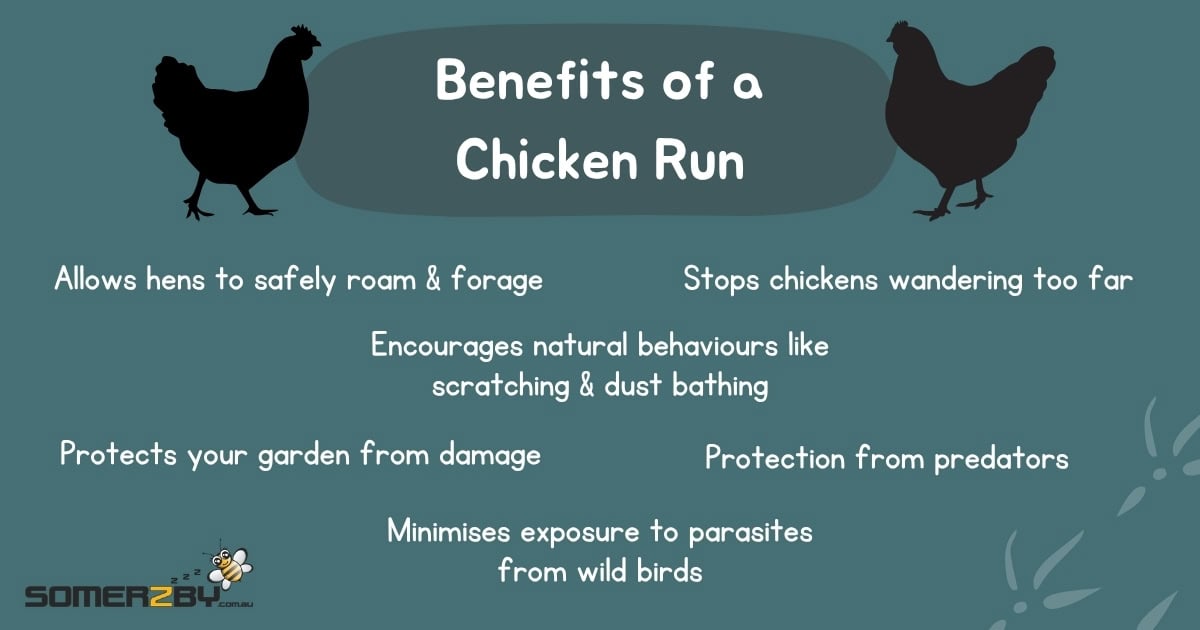 Benefits of a Chicken Run