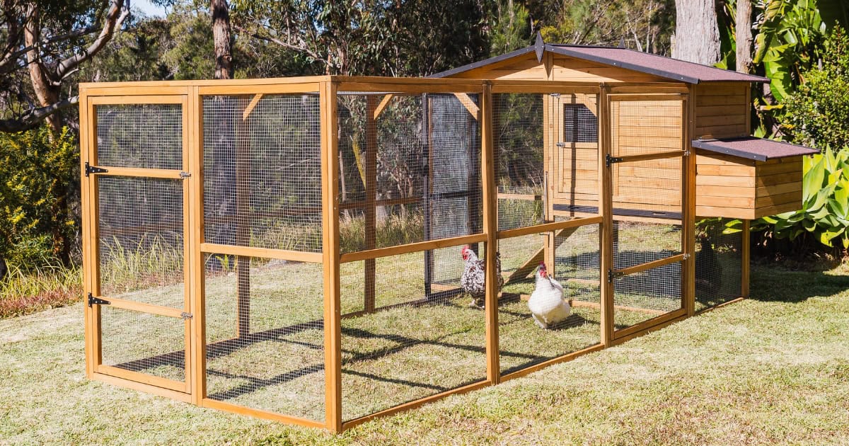 Chicken coop with run added on