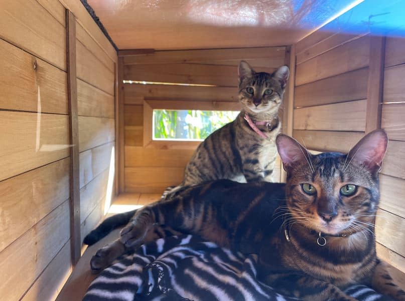 Customer photo Heidi - inside top shelf