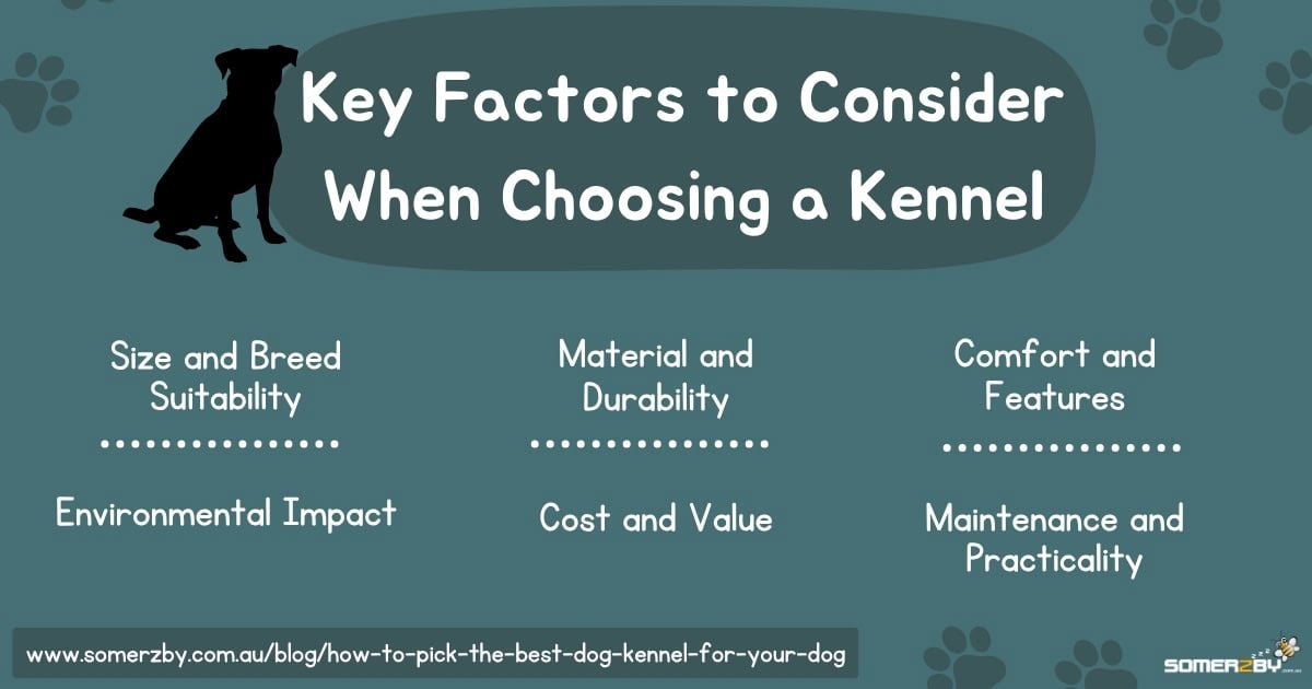 Factors to Consider When Choosing a Kennel