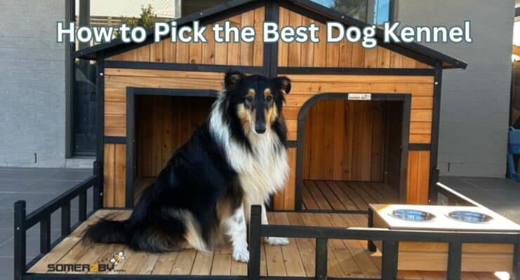 How to Pick the Best Dog Kennel