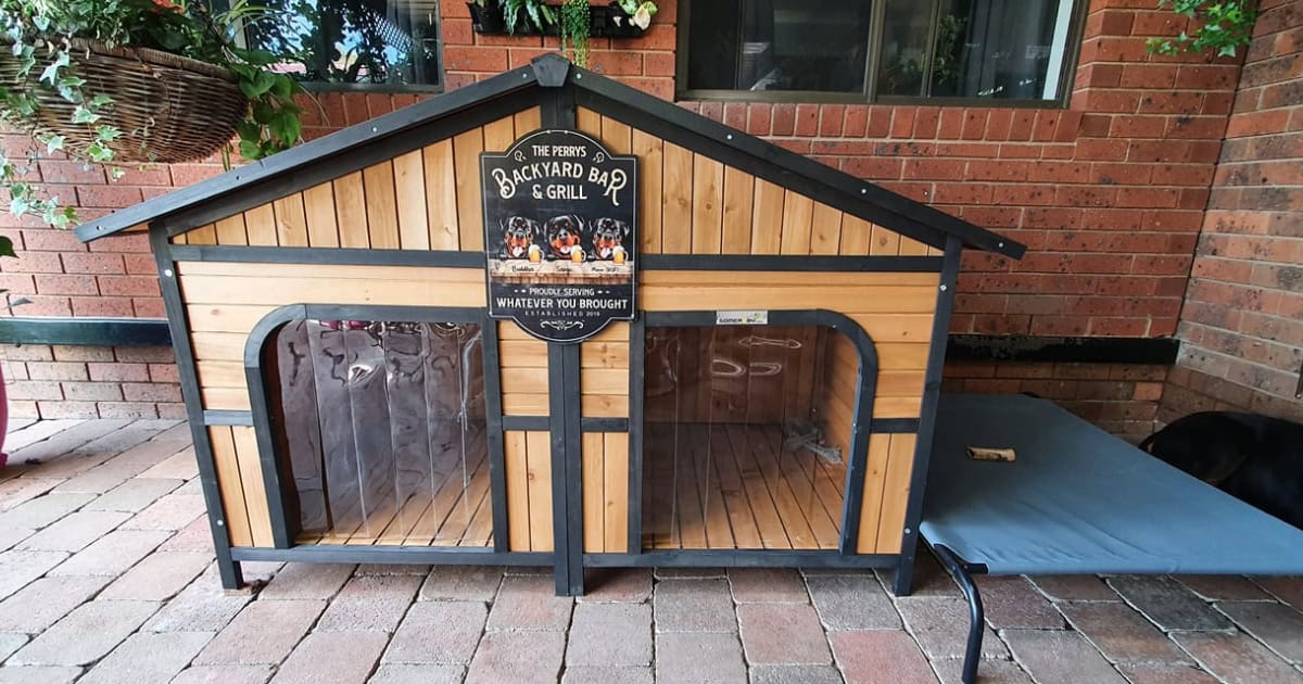 Kennel Comfort and Features