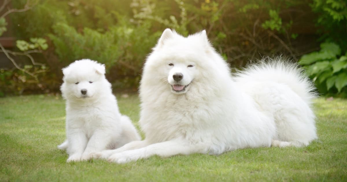 Not Considering Future Growth