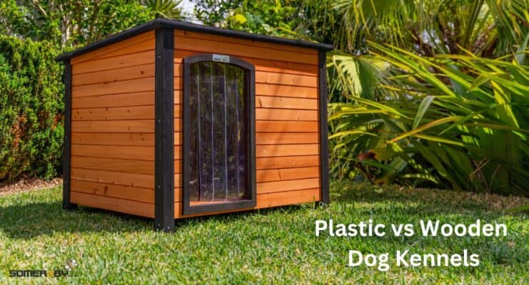 Plastic Vs Wooden Dog Kennels