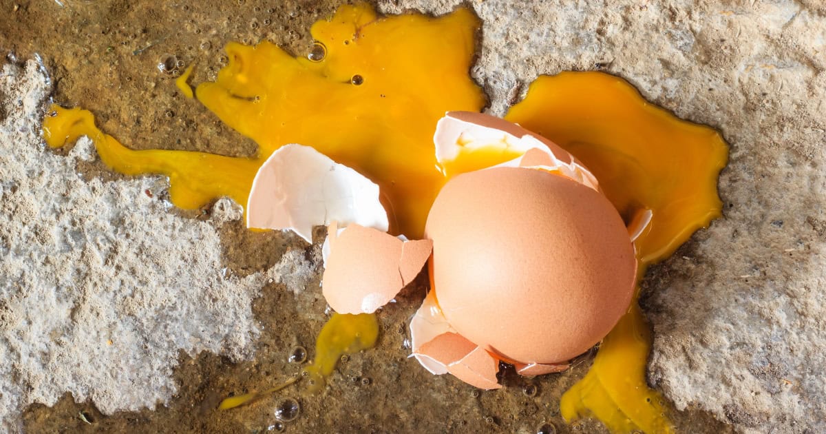 Common Causes of Egg Eating Behaviour