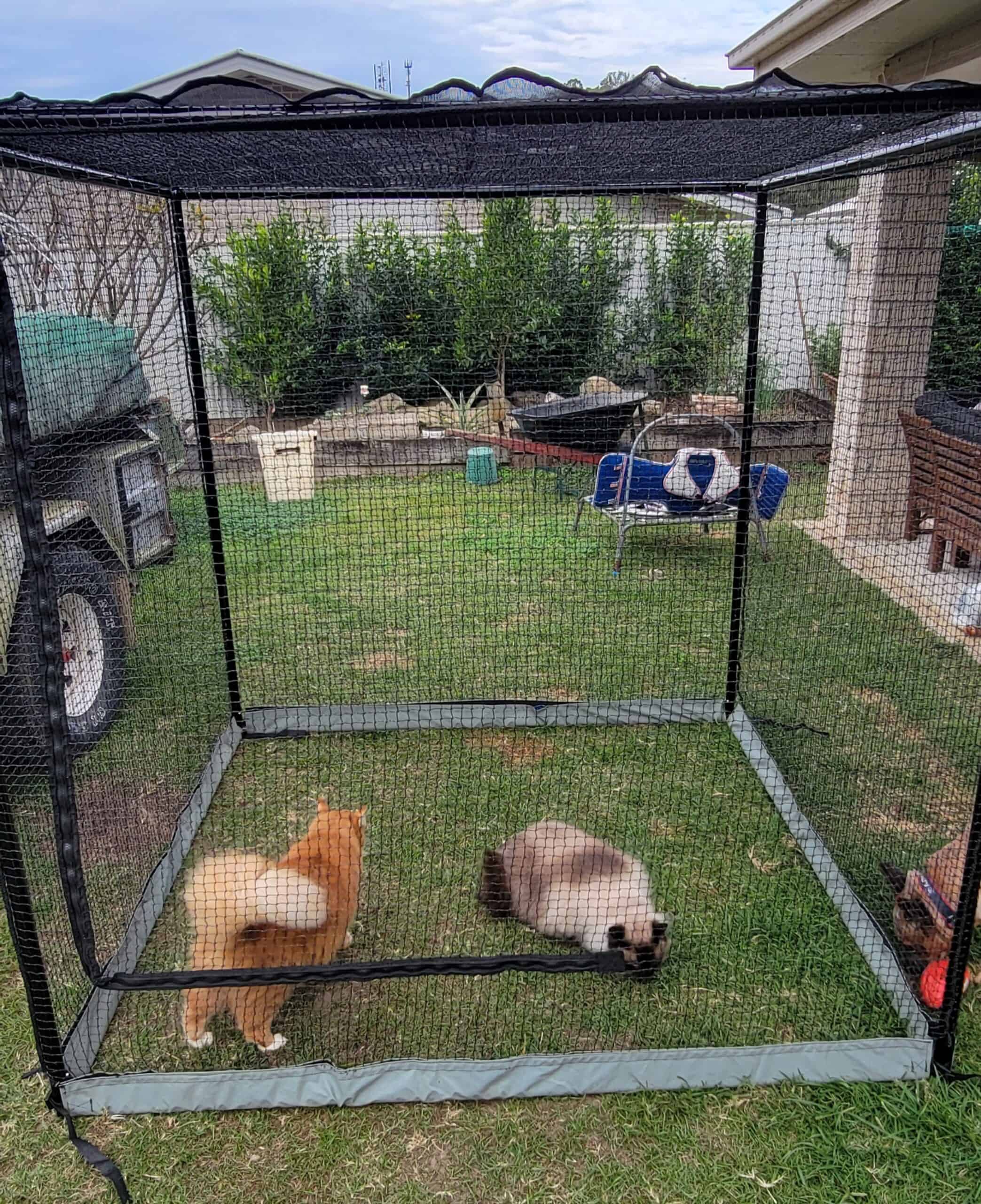 Customer photo Manor Catio