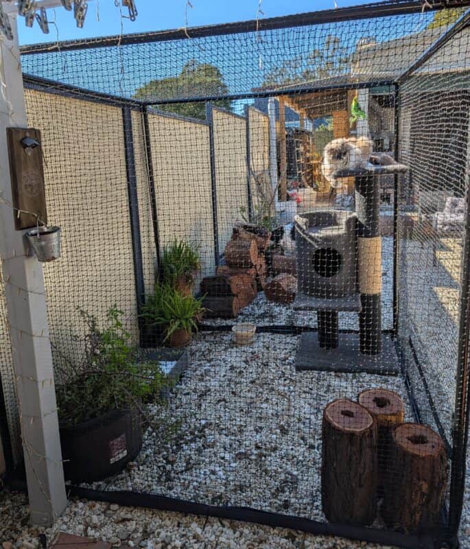 Customer photo Manor Catio with scratching post