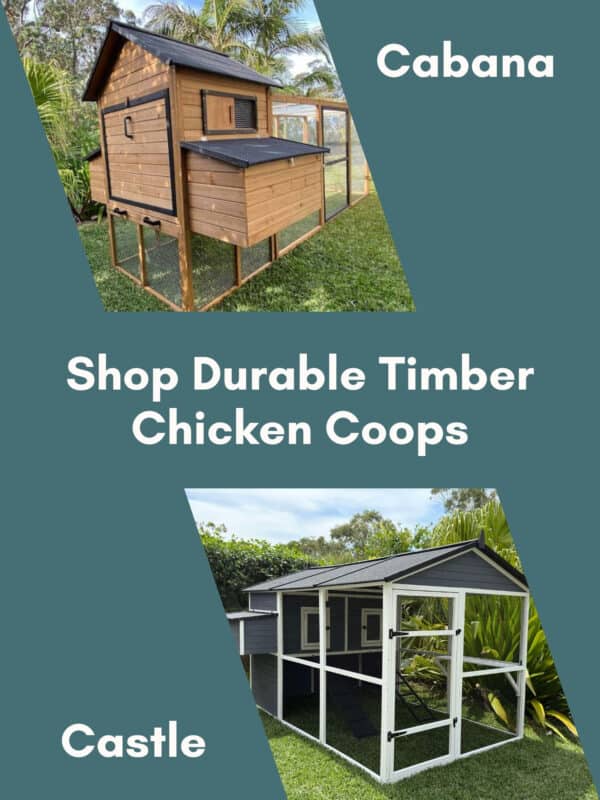 Shop Durable Timber Chicken Coops - Mobile Banner