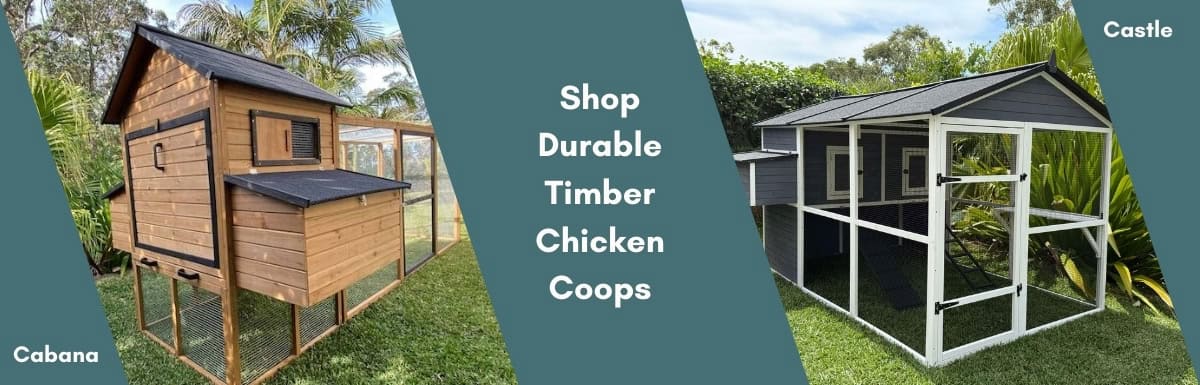 Shop Durable Timber Chicken Coops - Web Banner