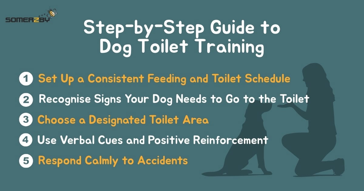 Step by Step Guide to Dog Toilet Training infographic