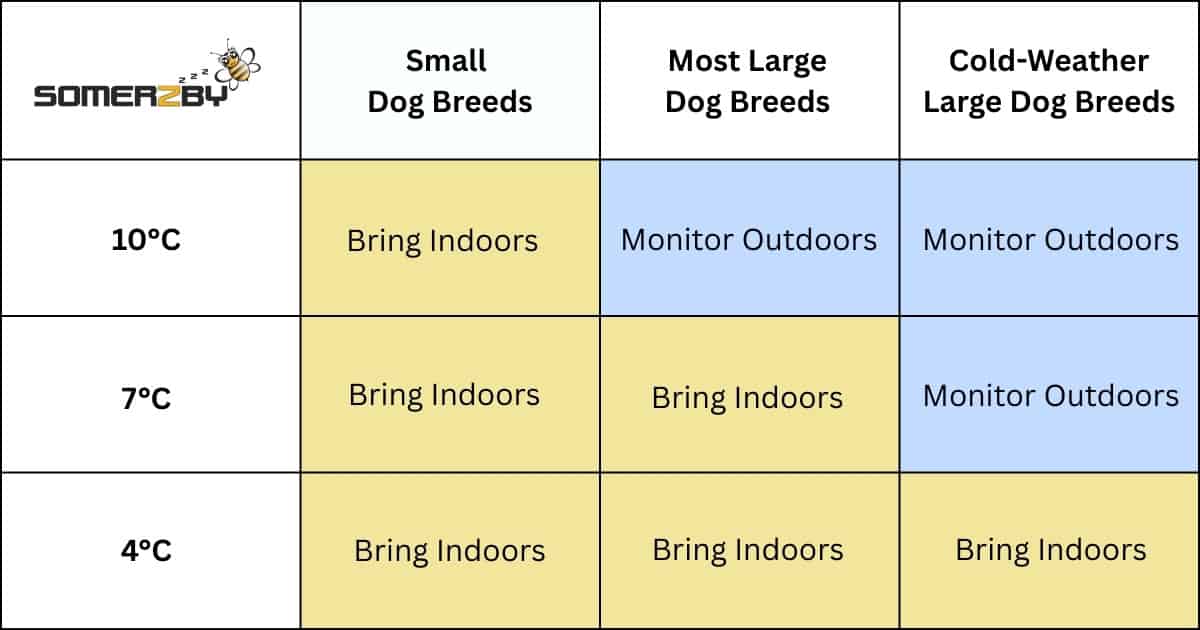 What Temperature is Too Cold for Dogs to Sleep Outside