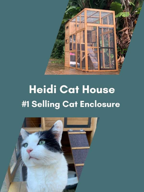 Heidi Cat House - Mobile banner