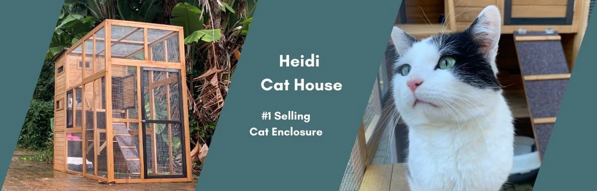 Heidi Cat House - Web banner