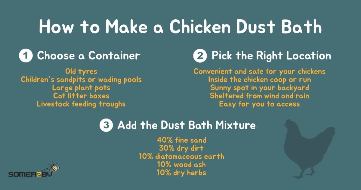 How to Make a Chicken Dust Bath infographic