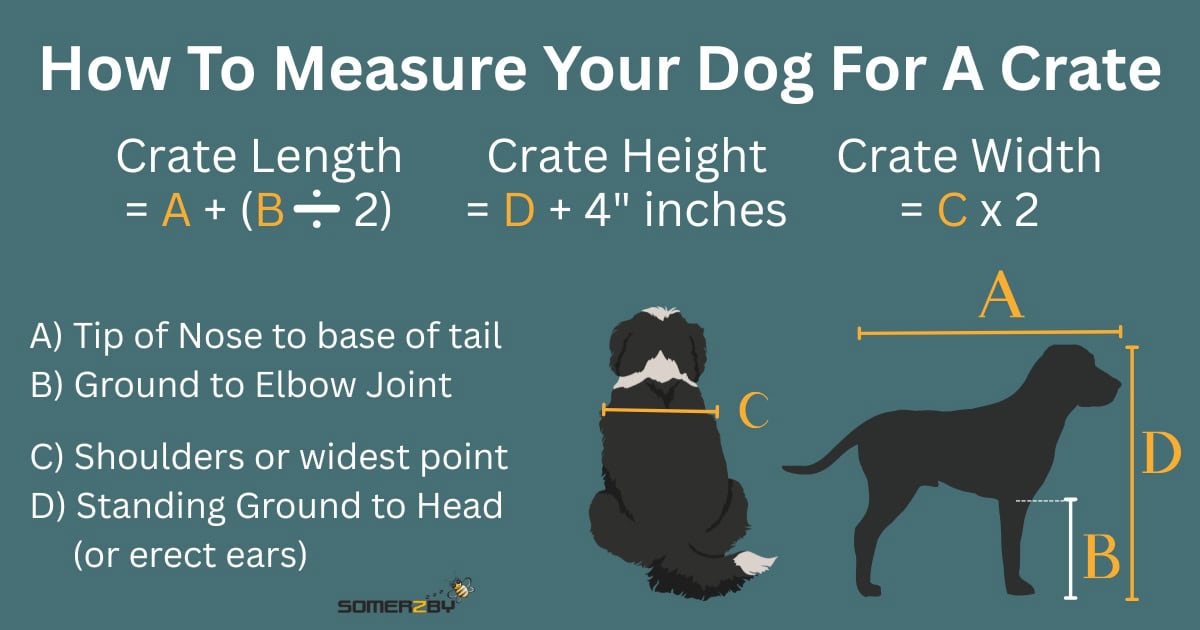 How to Measure Your Dog for a Crate Infographic
