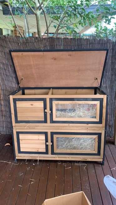 A Deluxe Double Breeding Bank with guinea pigs on a deck