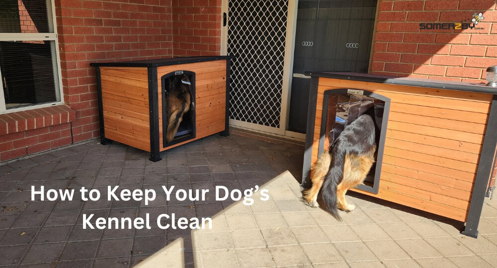 How to Keep Your Dog’s Kennel Clean
