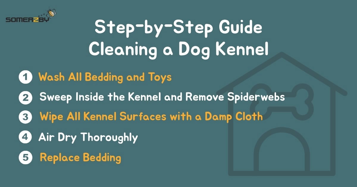 Step-by-Step Guide Cleaning a Dog Kennel