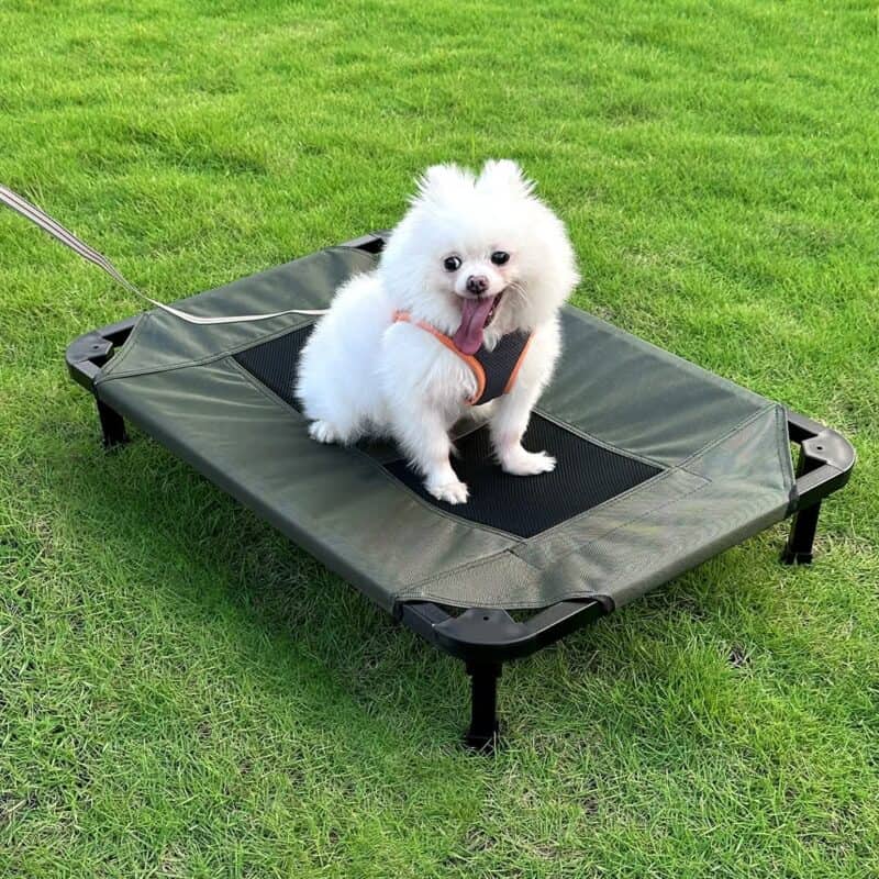 Trampoline Bed customer photo