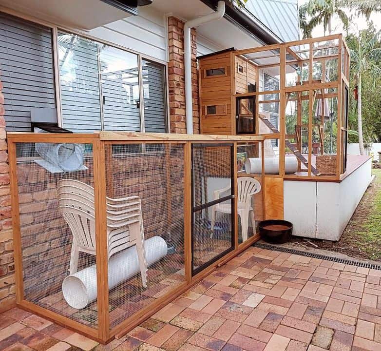 Heidi and Run in customers backyard