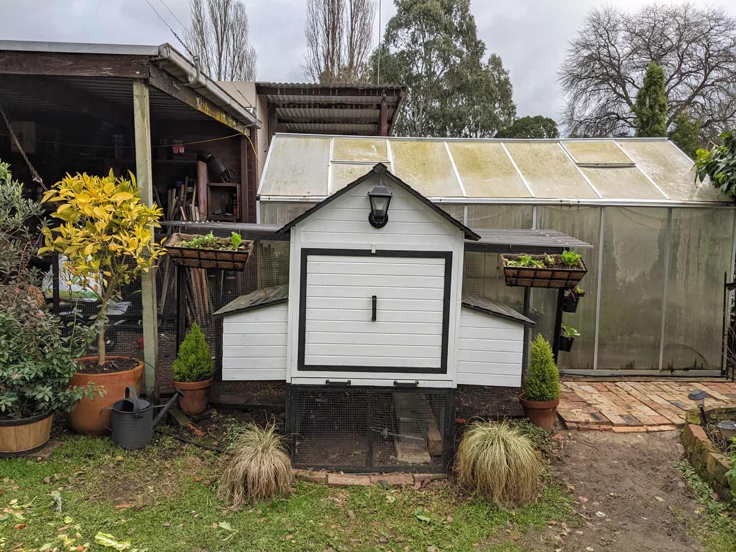 Cabana and Run painted white in a customer's backyard