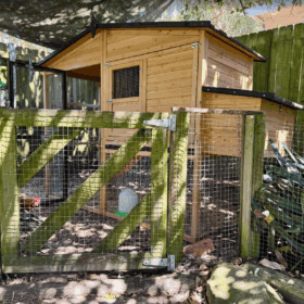 Estate Chicken Coop in a customer's backyard with chickens