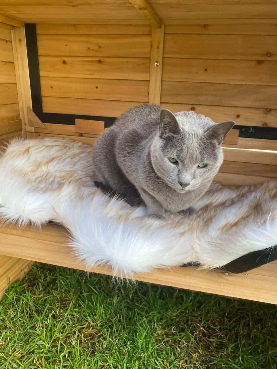 Grey cat inside a Heidi Cat House on a fluffy bed
