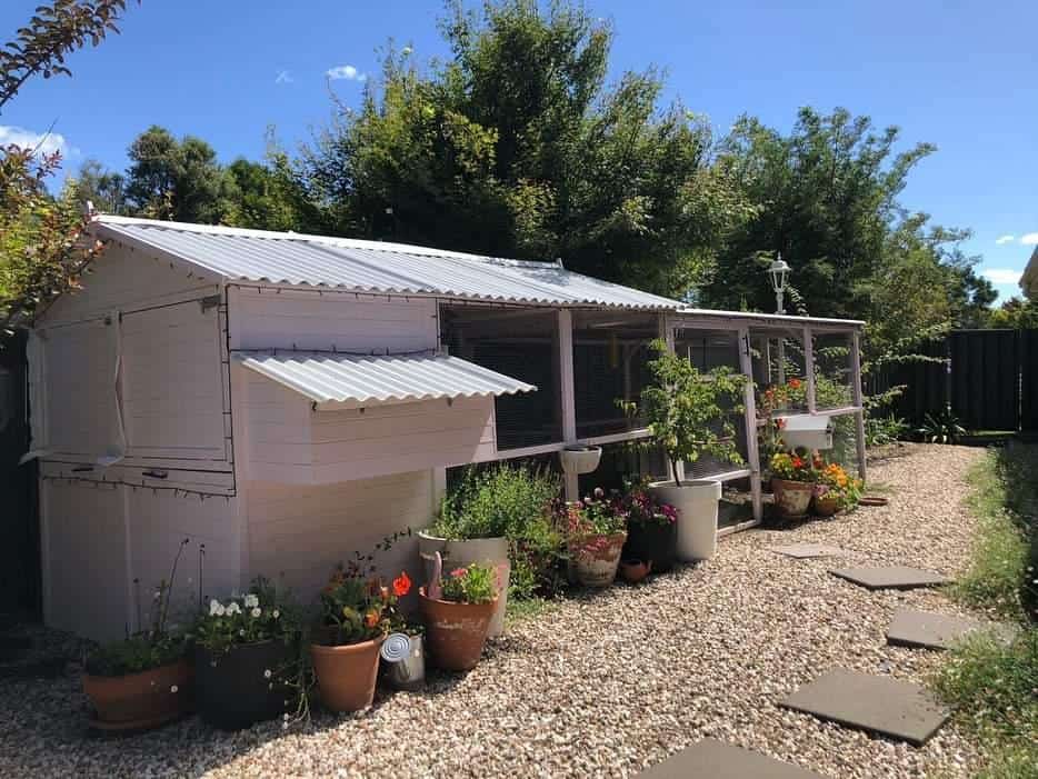 Homestead and Run painted white in a customer's backyard