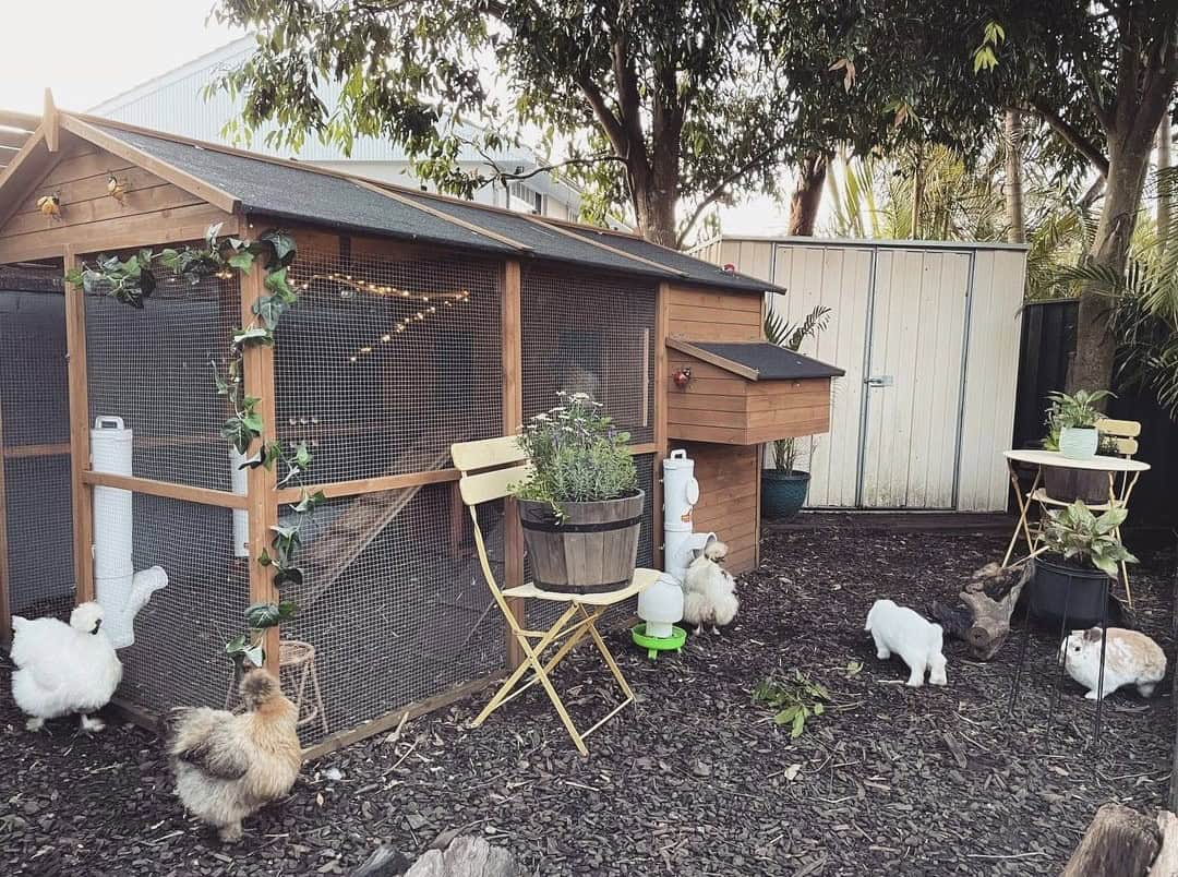 Homestead in a customer's backyard with fairy lights, chickens and rabbits