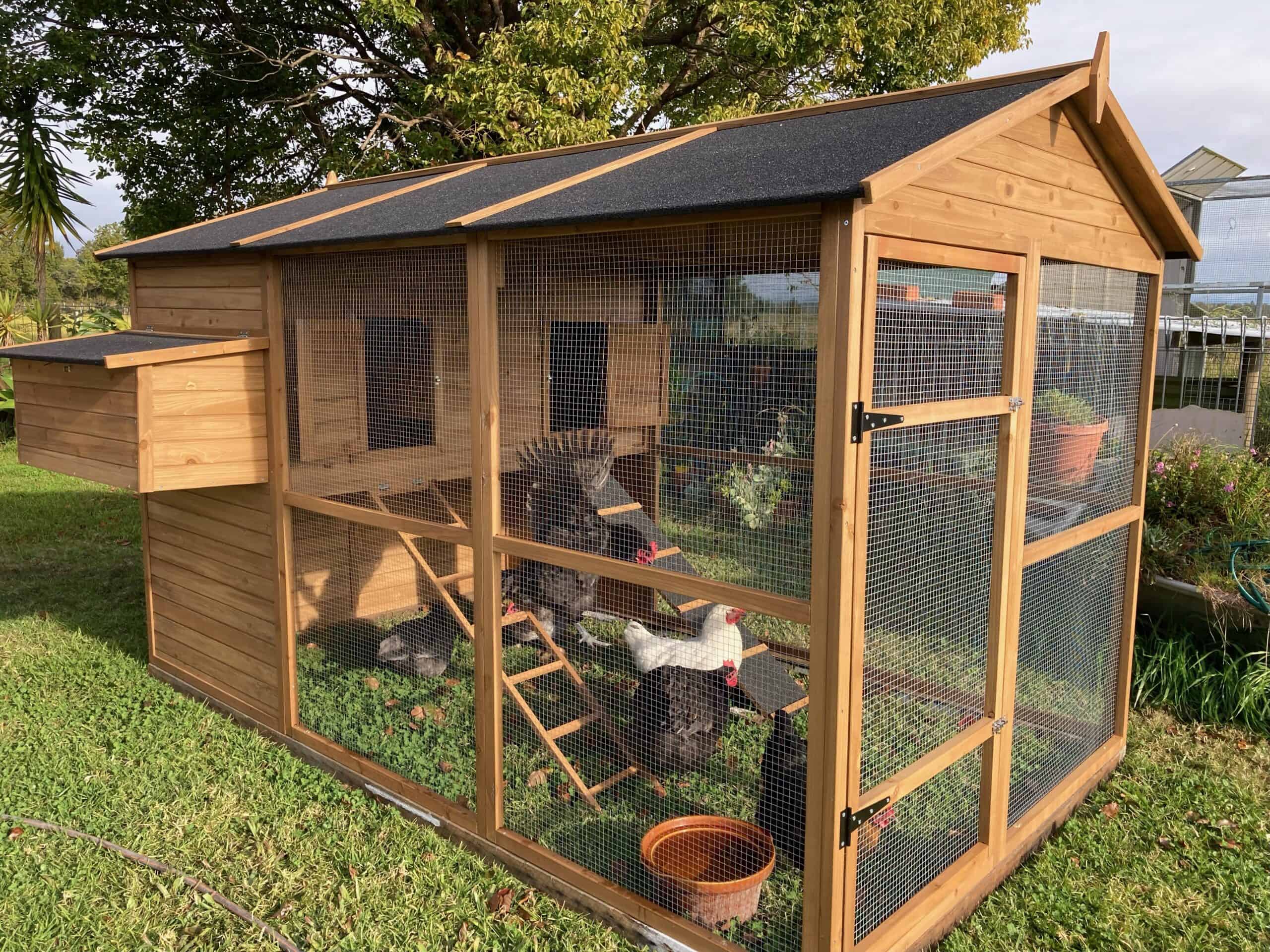 Homestead Chicken Coop in a customer's backyard with chickens