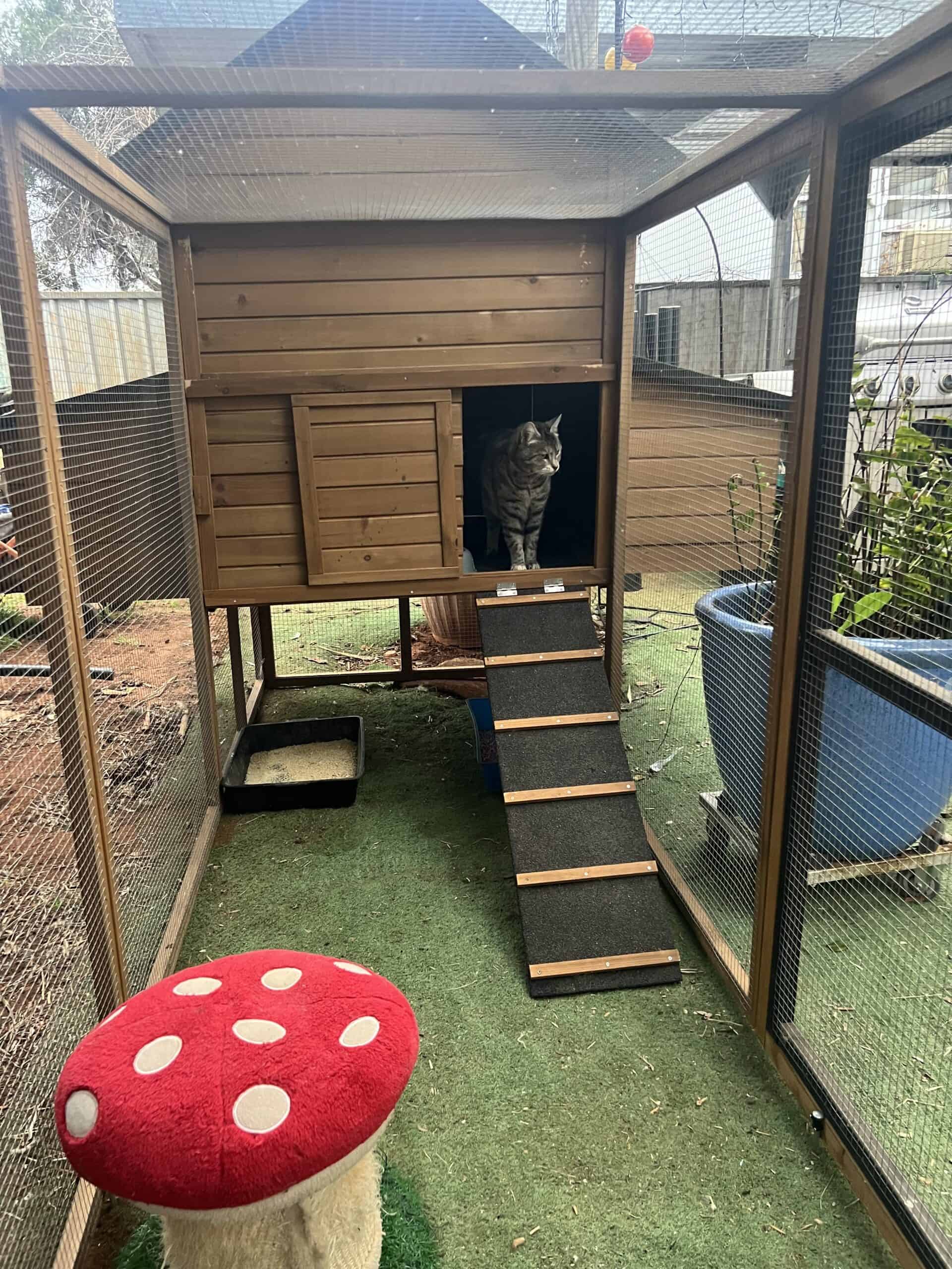 Cabana and Run enclosure in customers backyard