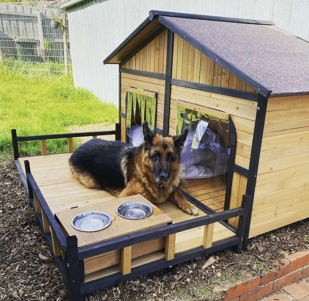 German Shepherd laying on a timber kennel front porch.