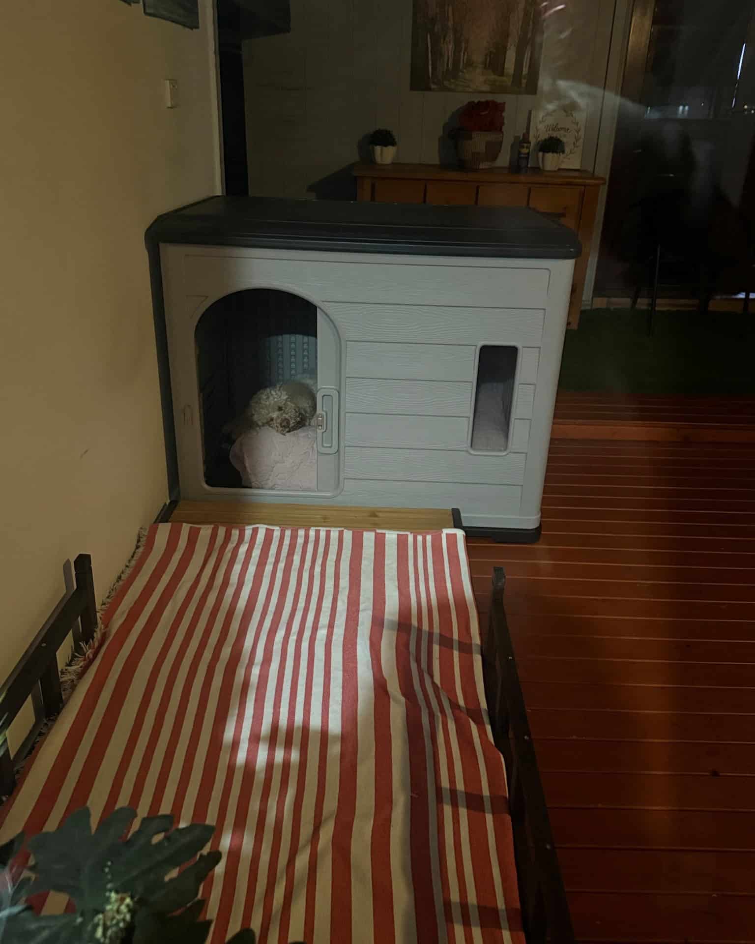 Grey plastic dog kennel with white puppy inside.