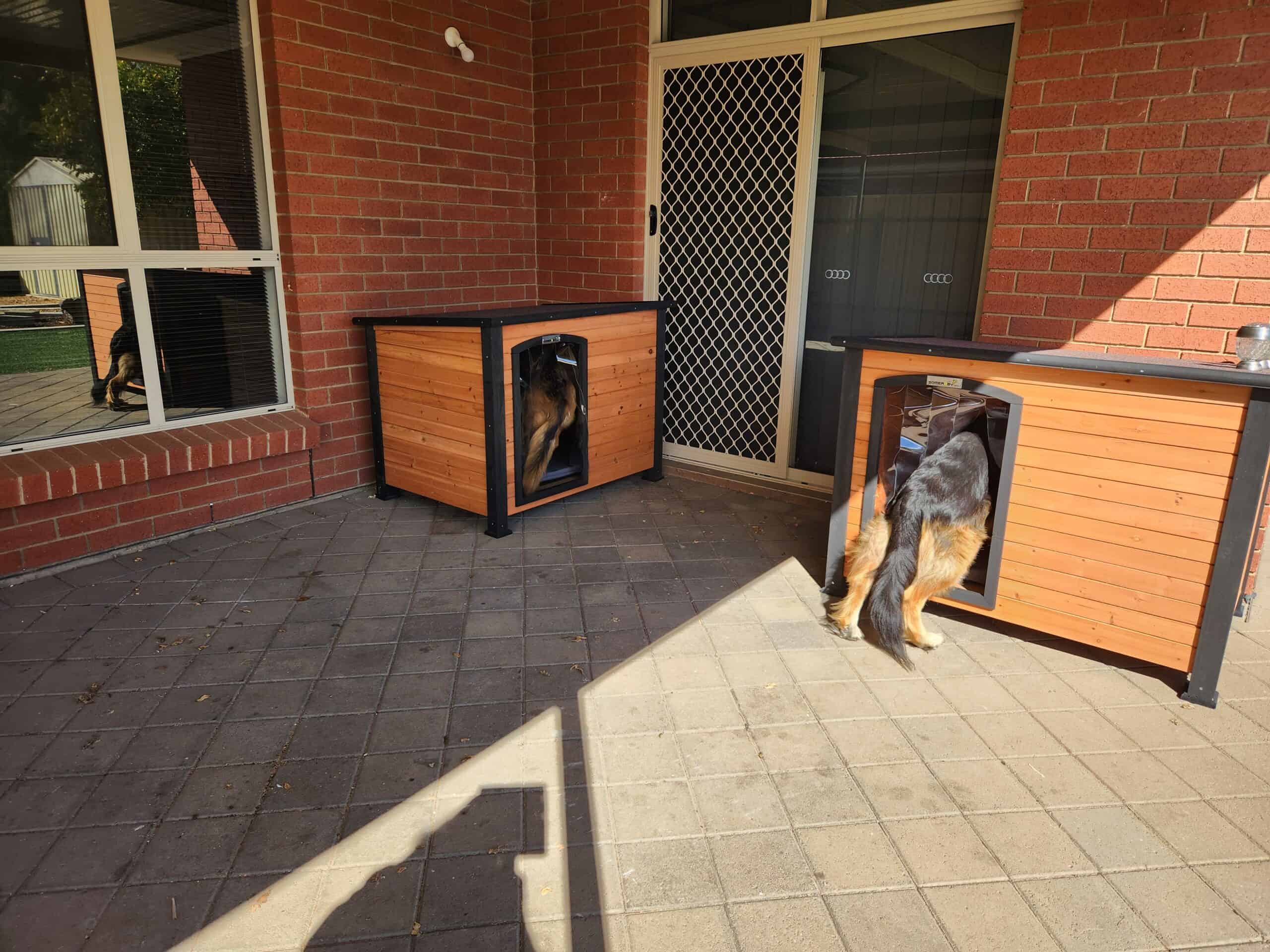 Two German Shepherds inside Haven Dog Kennels in a backyard.