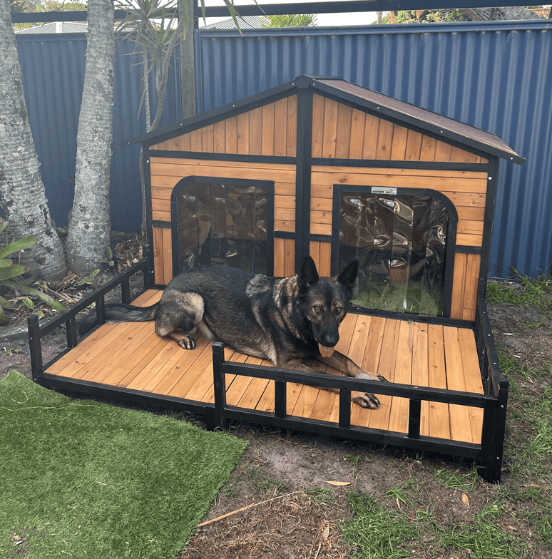 Large black dog sitting on the porch of the Grand Dog Kennel.