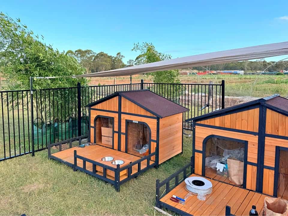Two Grand with Porch Kennels in a backyard under a shade sail.