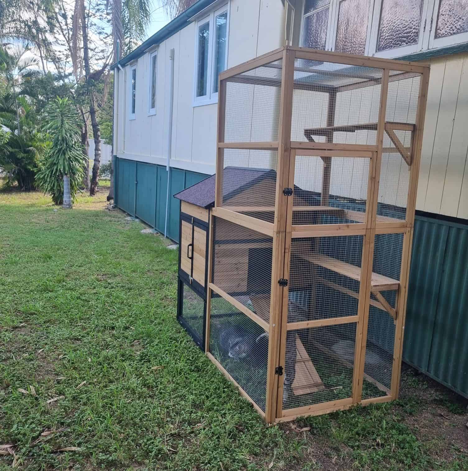 Cat inside the Stacey cat enclosure on grass, against a house.