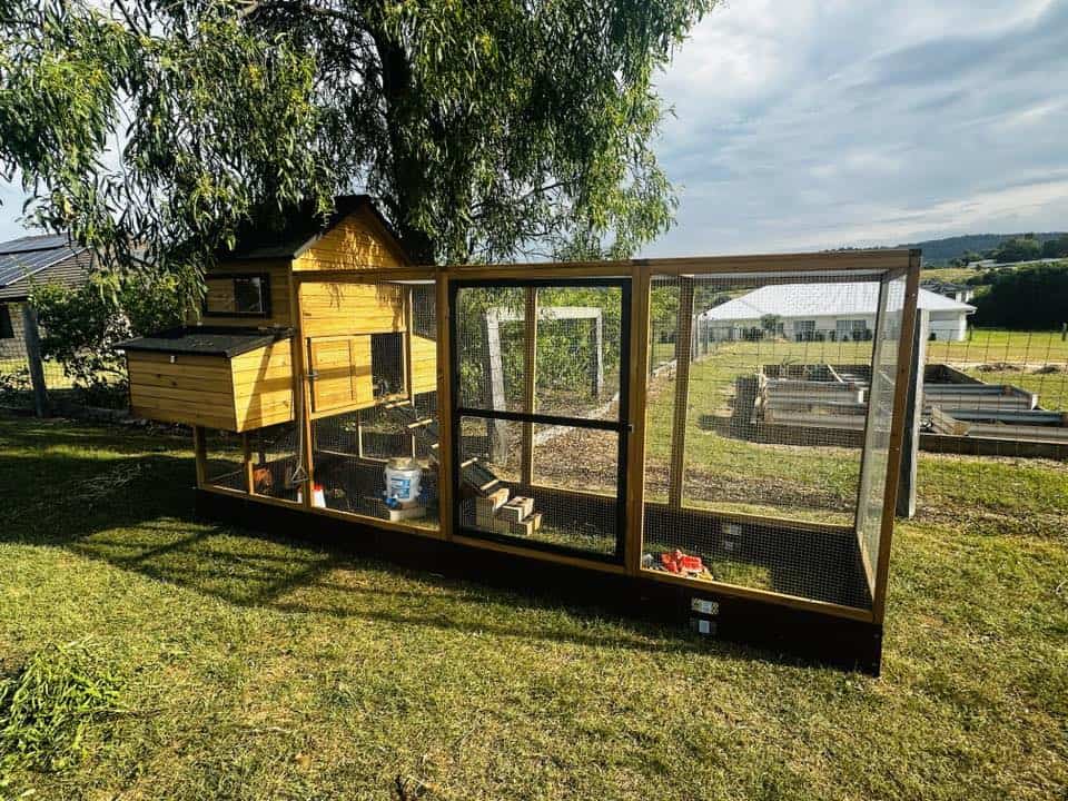 Customer photo of the Cabana and Run Chicken Coop
