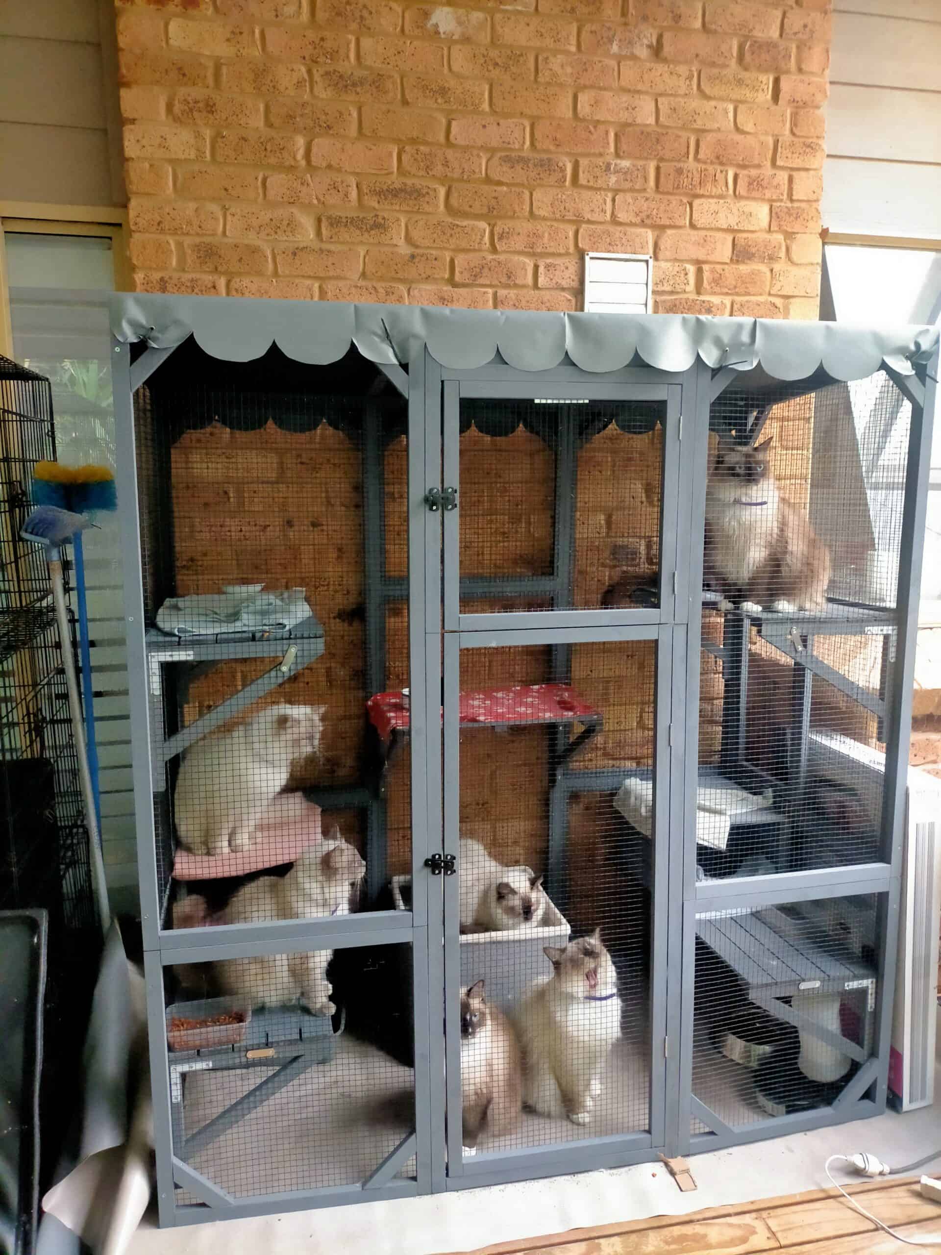 Condo Cat Enclosure - Ashley W