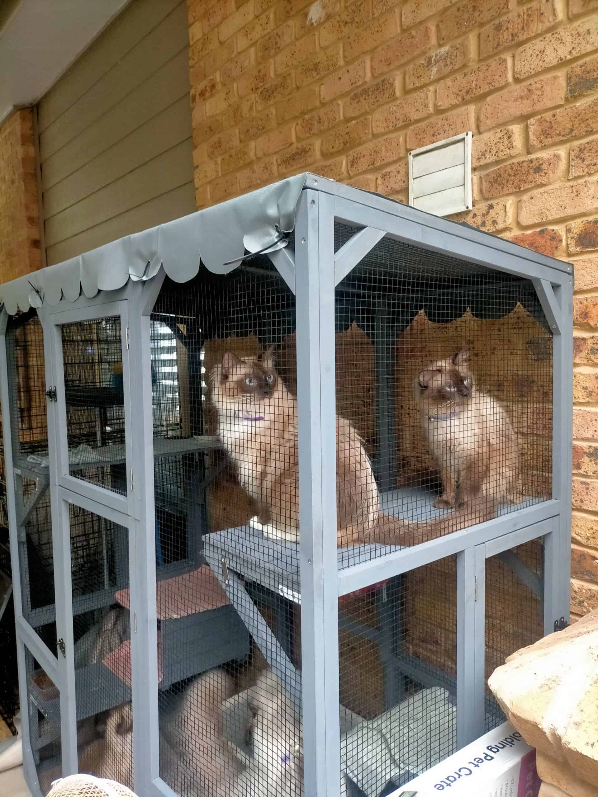 Condo Cat Enclosure - Ashley W