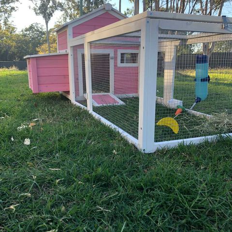 Customer photo Pink Cottage with guinea pigs 3