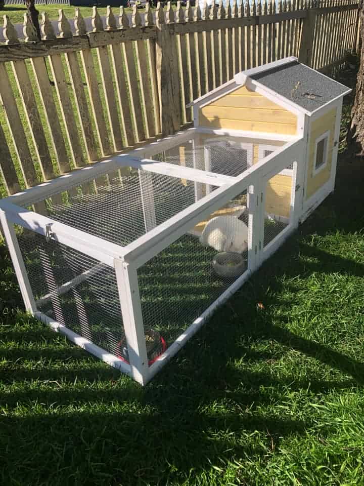 A yellow timber rabbit hutch on grass with a rabbit inside.